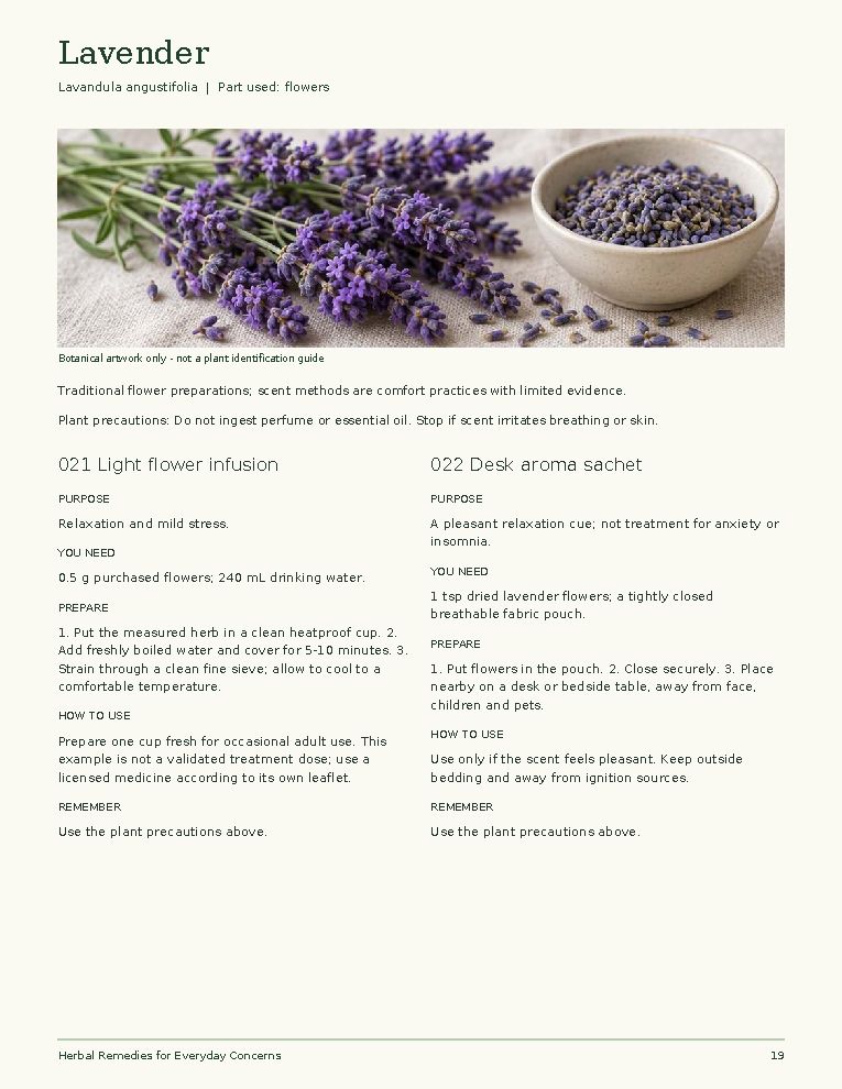 Sample page: Lavender
